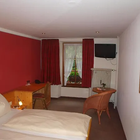 Vier Loewen Hotel 3*