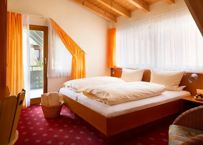 Vier Loewen Hotel 3*